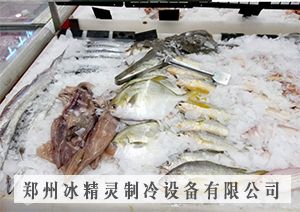 300公斤片冰機交付山東濱州市興隆超市使用